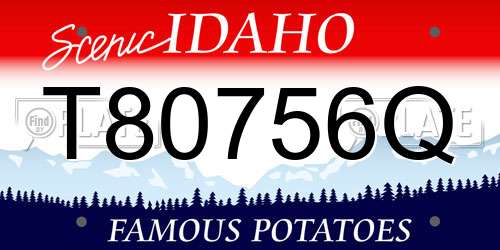 T80756Q Idaho License Plate