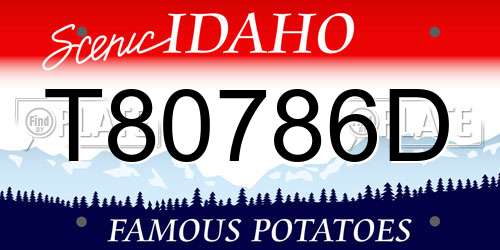 T80786D Idaho License Plate