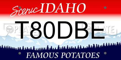 T80DBE Idaho License Plate