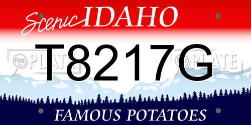 T8217G Idaho License Plate