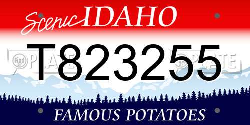 T823255 Idaho License Plate