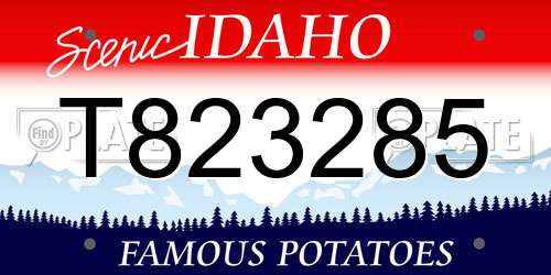 T823285 Idaho License Plate