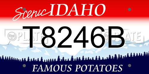 T8246B Idaho License Plate