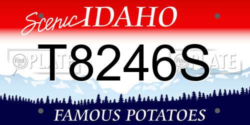 T8246S Idaho License Plate