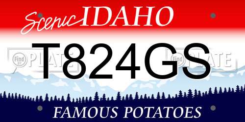 T824GS Idaho License Plate