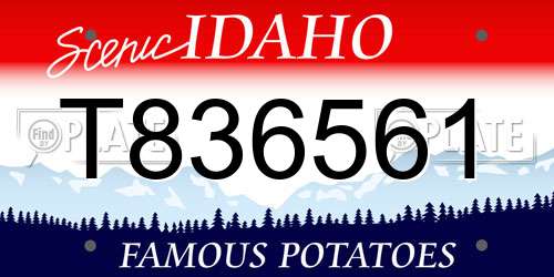 T836561 Idaho License Plate
