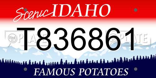 T836861 Idaho License Plate