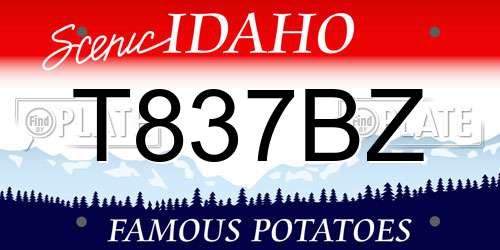 T837BZ Idaho License Plate