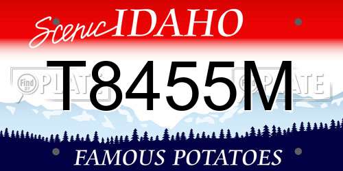 T8455M Idaho License Plate