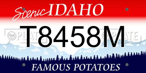 T8458M Idaho License Plate