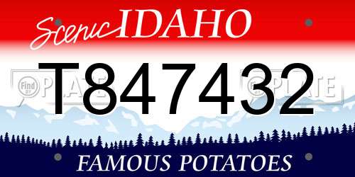 T847432 Idaho License Plate