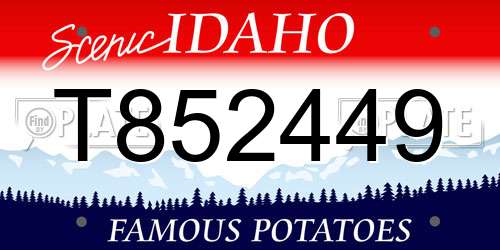 T852449 Idaho License Plate