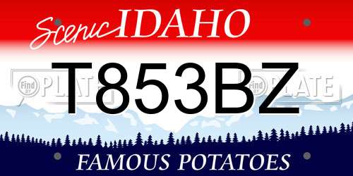 T853BZ Idaho License Plate