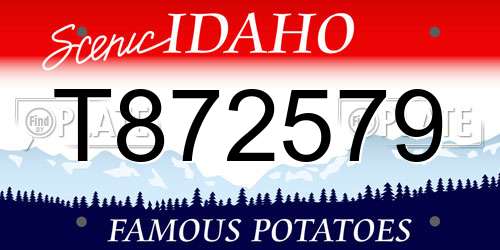 T872579 Idaho License Plate