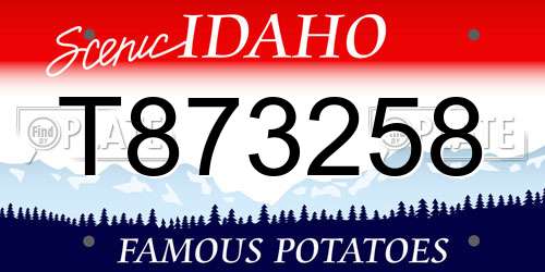 T873258 Idaho License Plate