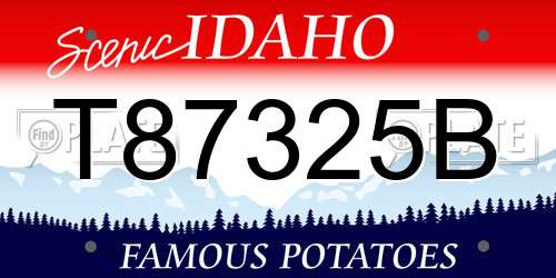T87325B Idaho License Plate