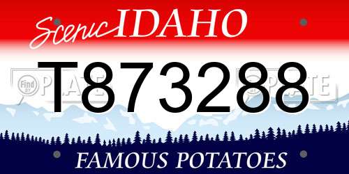 T873288 Idaho License Plate