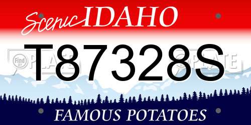 T87328S Idaho License Plate