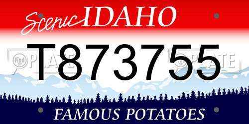 T873755 Idaho License Plate