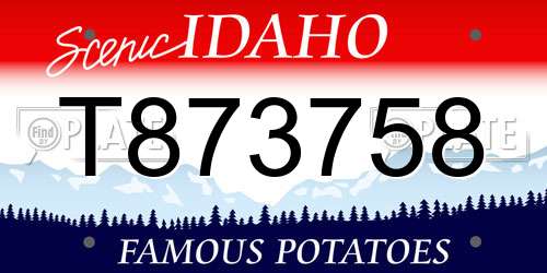 T873758 Idaho License Plate
