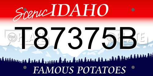 T87375B Idaho License Plate