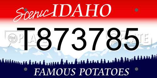 T873785 Idaho License Plate
