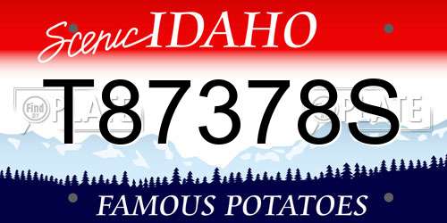 T87378S Idaho License Plate