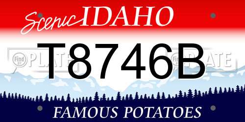 T8746B Idaho License Plate