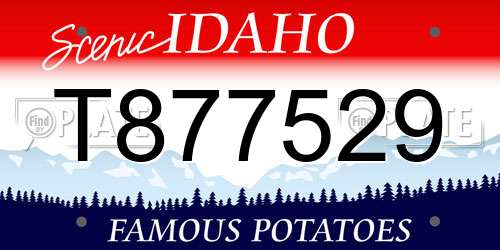 T877529 Idaho License Plate
