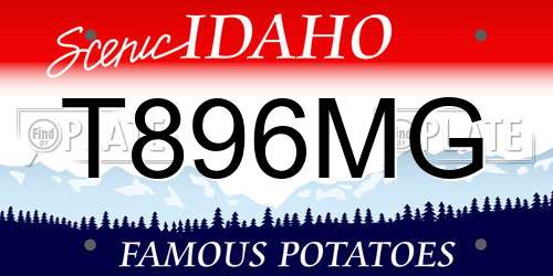 T896MG Idaho License Plate