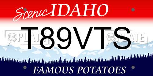 T89VTS Idaho License Plate