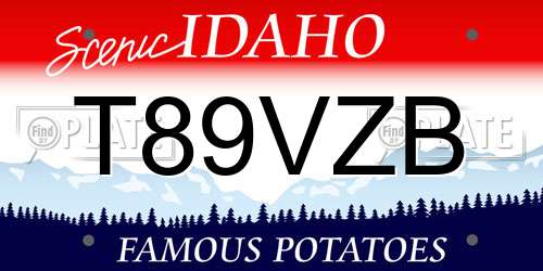 T89VZB Idaho License Plate