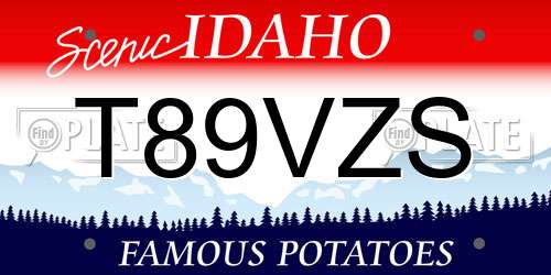 T89VZS Idaho License Plate