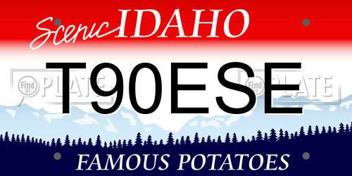 T90ESE Idaho License Plate