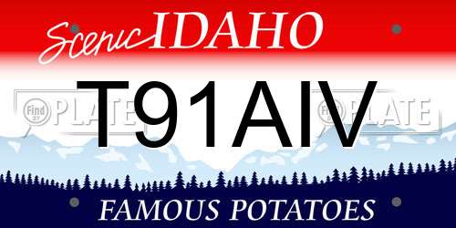 T91AIV Idaho License Plate