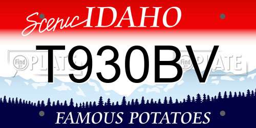 T930BV Idaho License Plate
