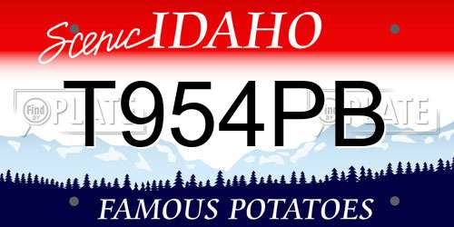 T954PB Idaho License Plate