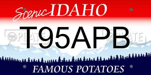 T95APB Idaho License Plate