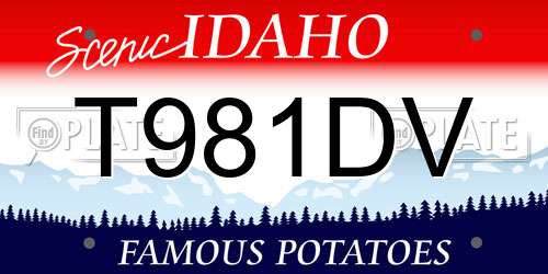 T981DV Idaho License Plate