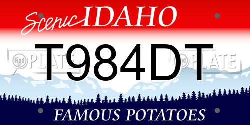 T984DT Idaho License Plate
