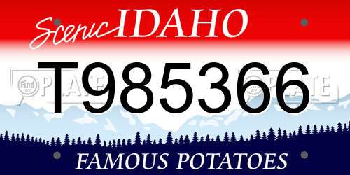 T985366 Idaho License Plate