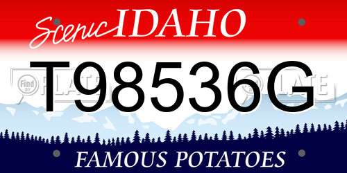 T98536G Idaho License Plate