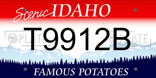 T9912B Idaho License Plate