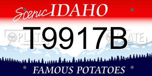 T9917B Idaho License Plate