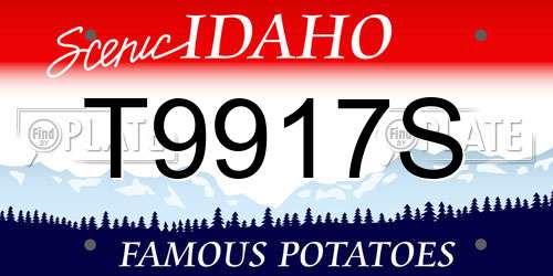 T9917S Idaho License Plate