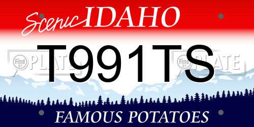 T991TS Idaho License Plate