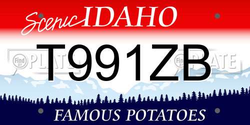 T991ZB Idaho License Plate