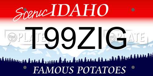 T99ZIG Idaho License Plate