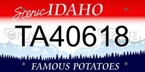 TA40618 Idaho License Plate