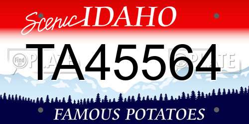 TA45564 Idaho License Plate